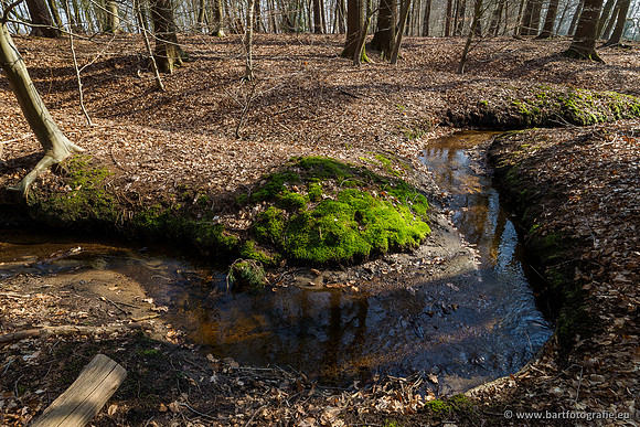 Bekenstelsel rondom Uddel 290320-071