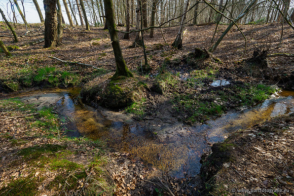 Bekenstelsel rondom Uddel 290320-073
