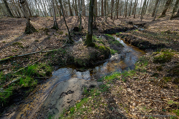 Bekenstelsel rondom Uddel 290320-074