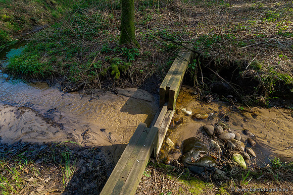 Bekenstelsel rondom Uddel 290320-077