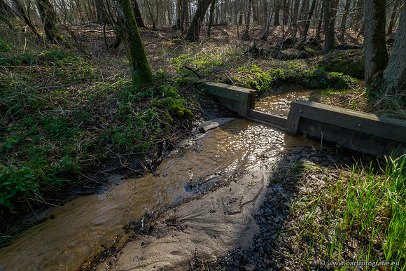 Bekenstelsel rondom Uddel 290320-079
