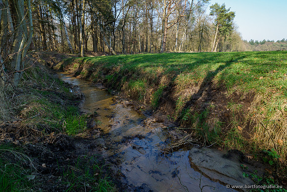 Bekenstelsel rondom Uddel 290320-081
