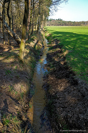 Bekenstelsel rondom Uddel 290320-083