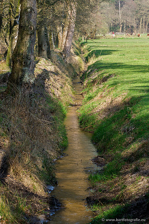 Bekenstelsel rondom Uddel 290320-084