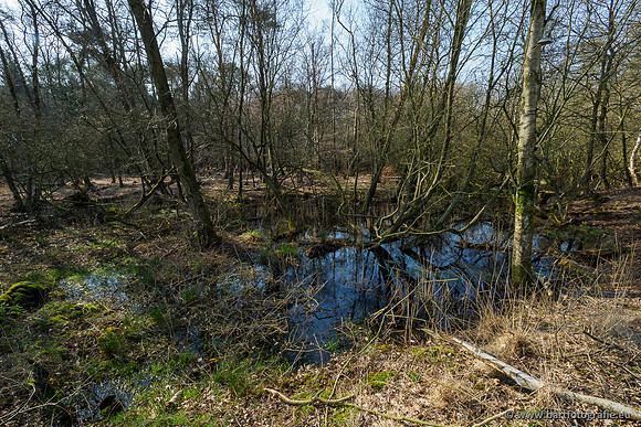 Bekenstelsel rondom Uddel 290320-086