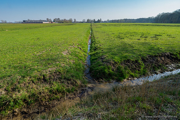 Bekenstelsel rondom Uddel 290320-087