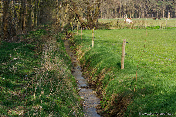 Bekenstelsel rondom Uddel 290320-088