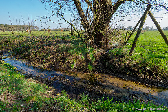 Bekenstelsel rondom Uddel 290320-090