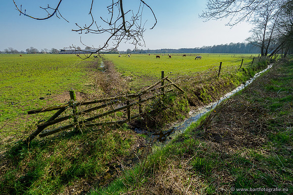 Bekenstelsel rondom Uddel 290320-091