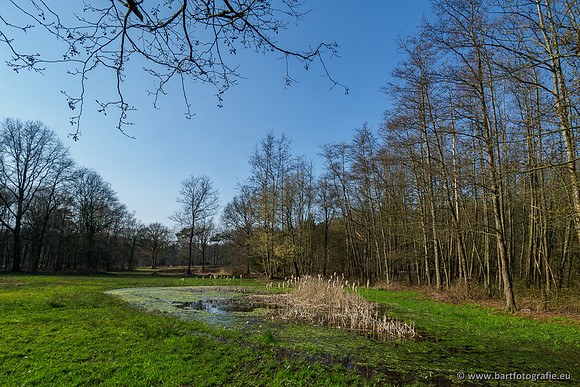 Bekenstelsel rondom Uddel 290320-092
