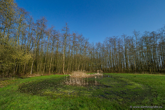 Bekenstelsel rondom Uddel 290320-093