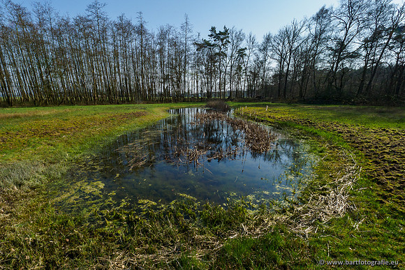 Bekenstelsel rondom Uddel 290320-094