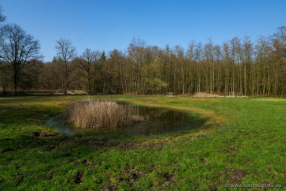 Bekenstelsel rondom Uddel 290320-095