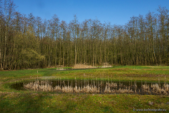 Bekenstelsel rondom Uddel 290320-096