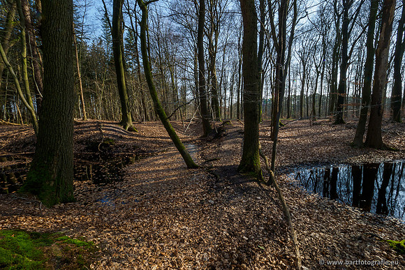 Bekenstelsel rondom Uddel 290320-097
