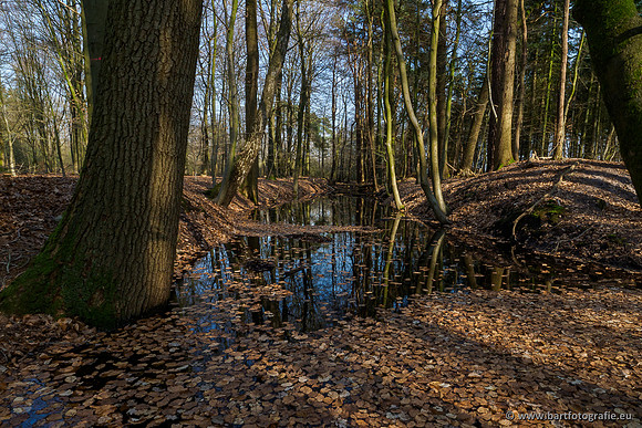 Bekenstelsel rondom Uddel 290320-098