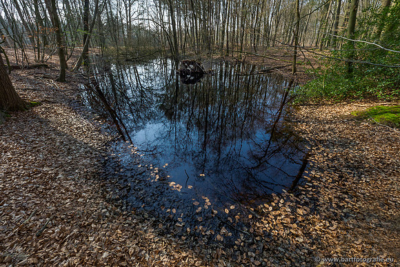Bekenstelsel rondom Uddel 290320-099