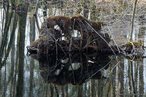 Bekenstelsel rondom Uddel 290320-100