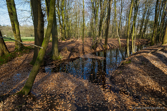 Bekenstelsel rondom Uddel 290320-101