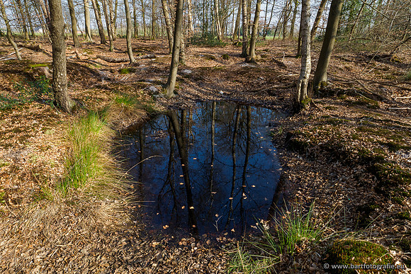Bekenstelsel rondom Uddel 290320-102