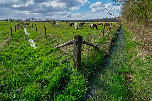 Bekenstelsel rondom Uddel 290320-103