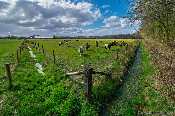 Bekenstelsel rondom Uddel 290320-104