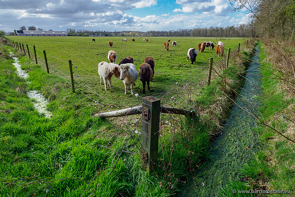 Bekenstelsel rondom Uddel 290320-105