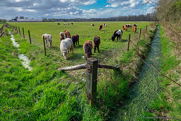 Bekenstelsel rondom Uddel 290320-106
