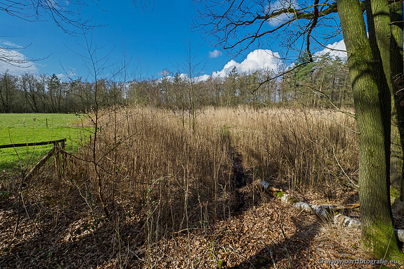 Bekenstelsel rondom Uddel 290320-107
