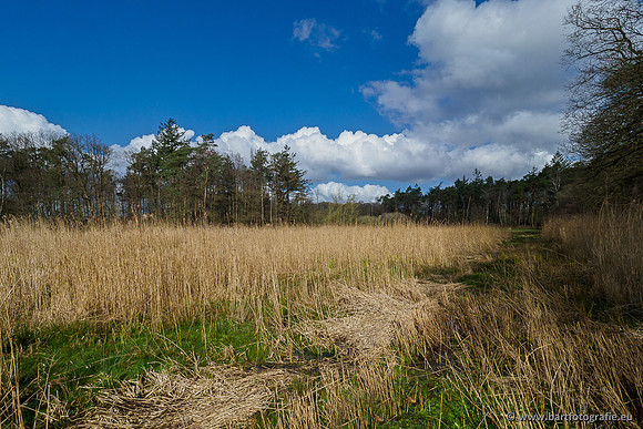 Bekenstelsel rondom Uddel 290320-108