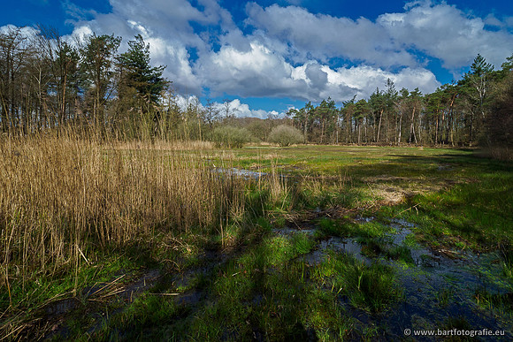 Bekenstelsel rondom Uddel 290320-110