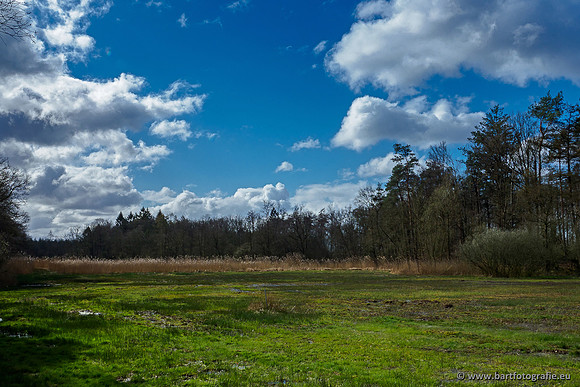 Bekenstelsel rondom Uddel 290320-111
