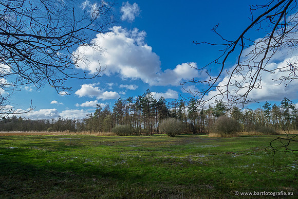 Bekenstelsel rondom Uddel 290320-112