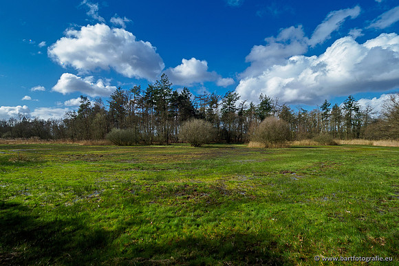 Bekenstelsel rondom Uddel 290320-113