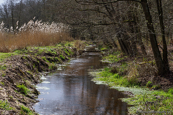 Bekenstelsel rondom Uddel 290320-114