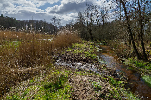 Bekenstelsel rondom Uddel 290320-115