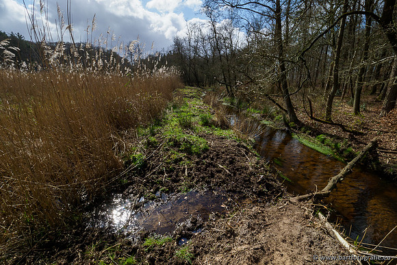 Bekenstelsel rondom Uddel 290320-117