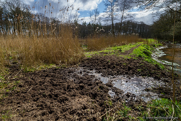 Bekenstelsel rondom Uddel 290320-118