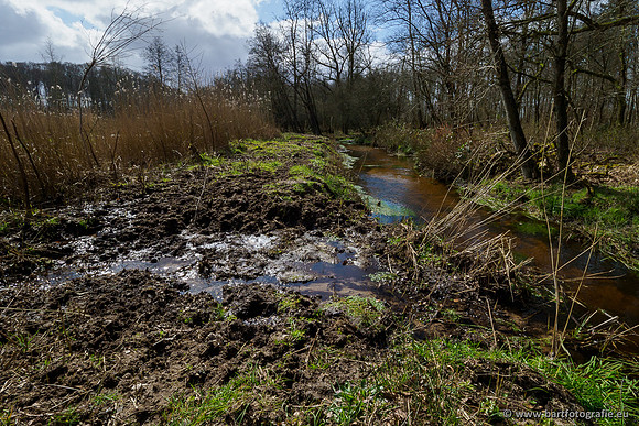 Bekenstelsel rondom Uddel 290320-119