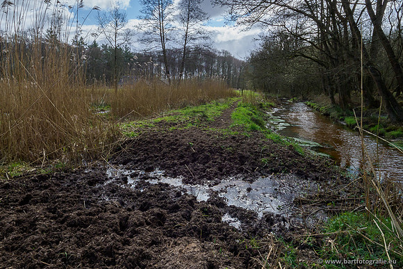 Bekenstelsel rondom Uddel 290320-120