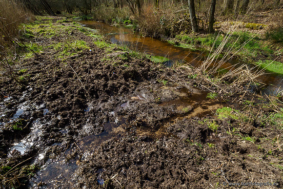 Bekenstelsel rondom Uddel 290320-121