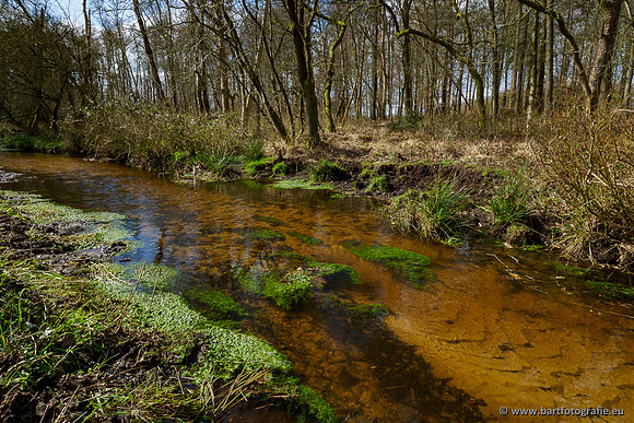 Bekenstelsel rondom Uddel 290320-122