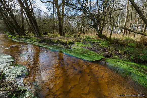 Bekenstelsel rondom Uddel 290320-123