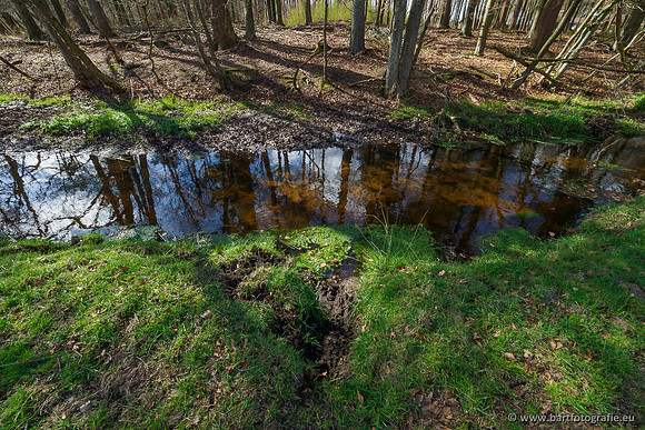 Bekenstelsel rondom Uddel 290320-127
