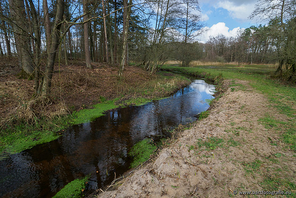 Bekenstelsel rondom Uddel 290320-129
