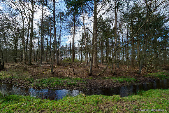 Bekenstelsel rondom Uddel 290320-130