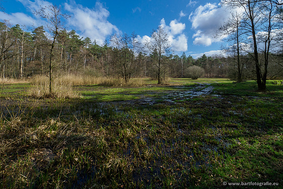 Bekenstelsel rondom Uddel 290320-131