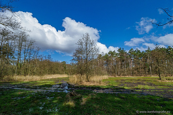 Bekenstelsel rondom Uddel 290320-132
