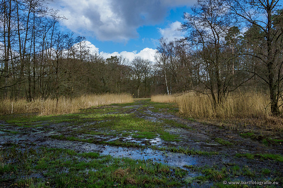 Bekenstelsel rondom Uddel 290320-133