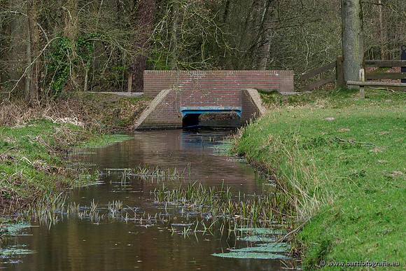 Bekenstelsel rondom Uddel 290320-135